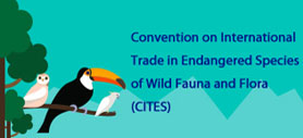 Convention on International Trade in Endangered Species of Wild Fauna and Flora